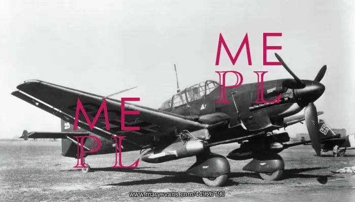 : Junkers Ju-87G-1 Stuka : Junkers Ju-87G-1 Stuka