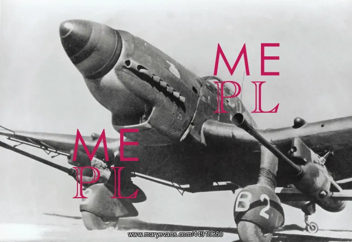 : Junkers Ju-87G Stuka : Junkers Ju-87G Stuka