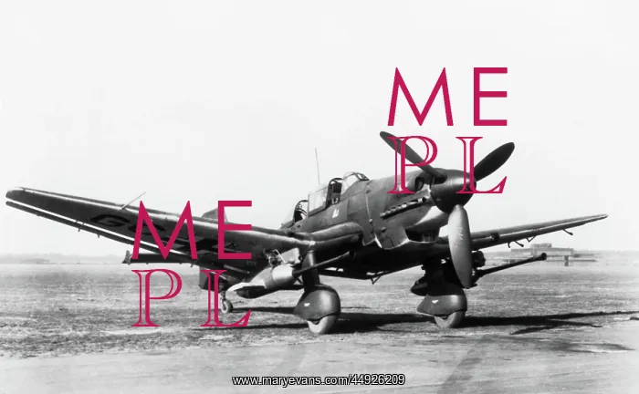 : Junkers Ju-87G Stuka : Junkers Ju-87G Stuka