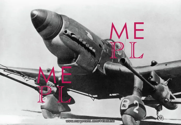 : Junkers Ju-87G Stuka : Junkers Ju-87G Stuka