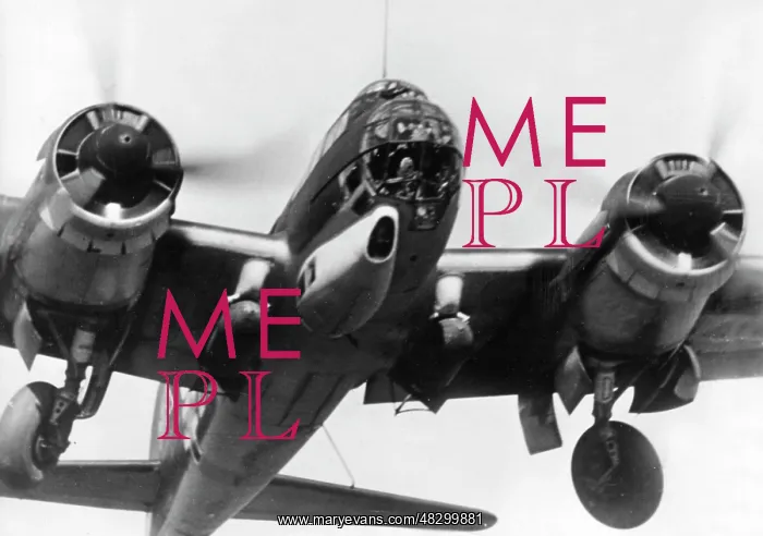 : Junkers Ju 88 fighter plane - Eastern Front, 1941 : Junkers Ju 88 fighter plane - Eastern Front, 1941