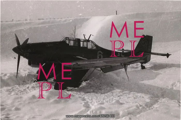 : Junkers Ju87A-1 in snow : Junkers Ju87A-1 in snow