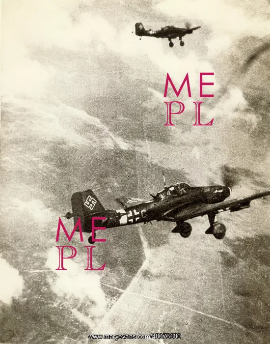 : Two Junkers Ju87D ~Stukas : Two Junkers Ju87D ~Stukas