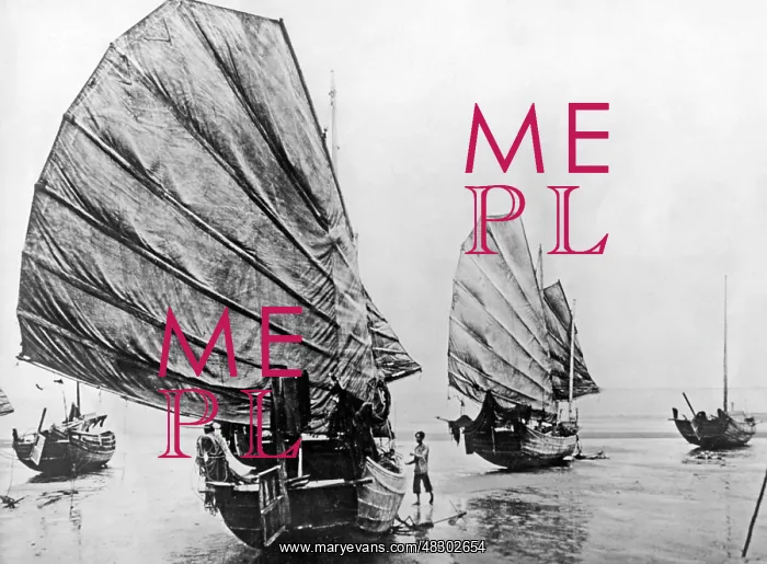 : Junks in North Vietnam, circa 1920 : Junks in North Vietnam, circa 1920