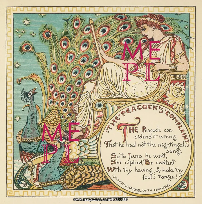 : Juno and the Peacock : Juno and the Peacock