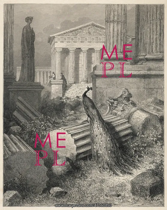 : Juno and the Peacock : Juno and the Peacock