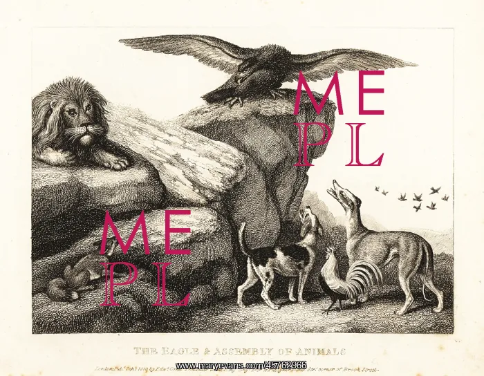 : Jupiter's bird admonishing an assembly of animals : Jupiter's bird admonishing an assembly of animals