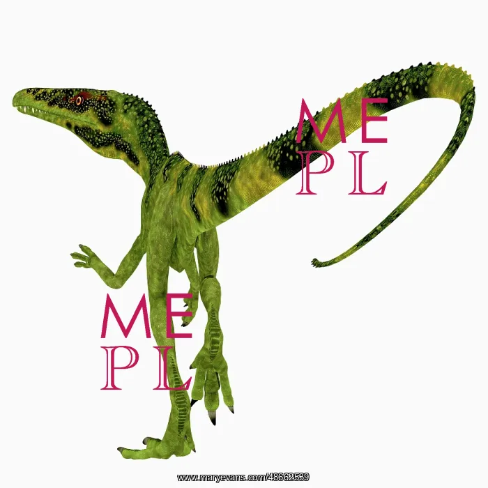 : Juravenator dinosaur, rear view : Juravenator dinosaur, rear view