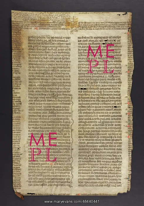 : Justinian's Codex, Book V.XIII (Fragment) : Justinian's Codex, Book V.XIII (Fragment)