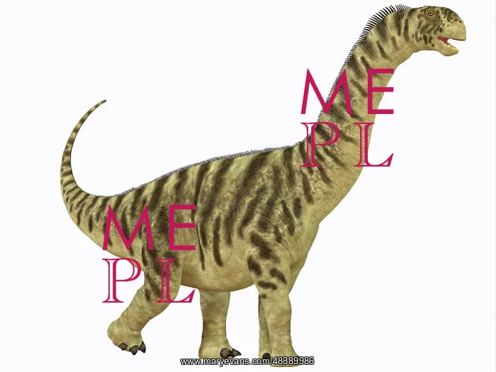 : A juvenile Camarasaurus sauropod dinosaur that lived during : A juvenile Camarasaurus sauropod dinosaur that lived during