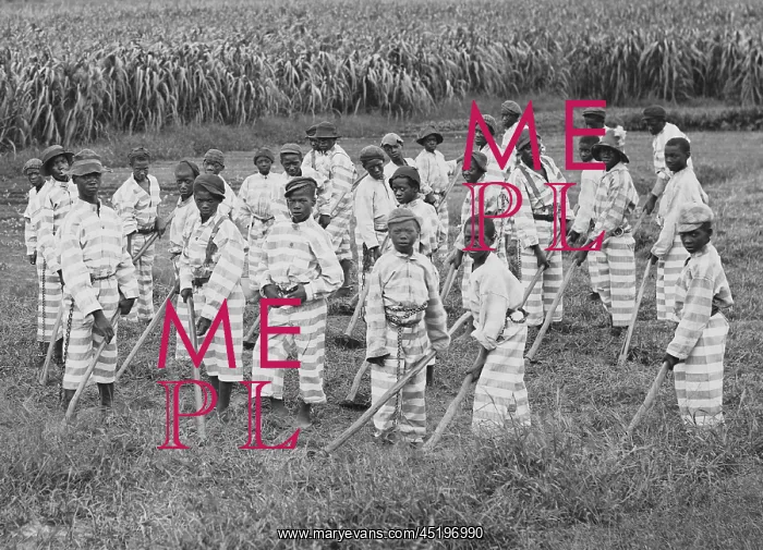 : Juvenile convicts at work in the fields : Juvenile convicts at work in the fields