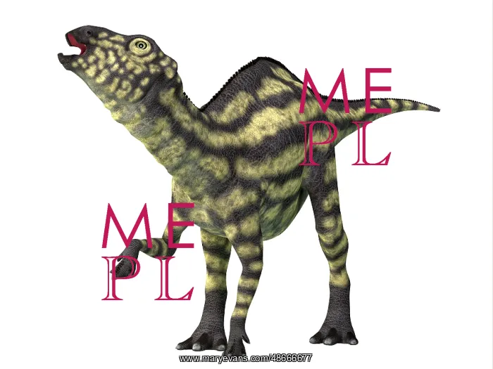 : A juvenile Maiasaura dinosaur, side view on white background : A juvenile Maiasaura dinosaur, side view on white background