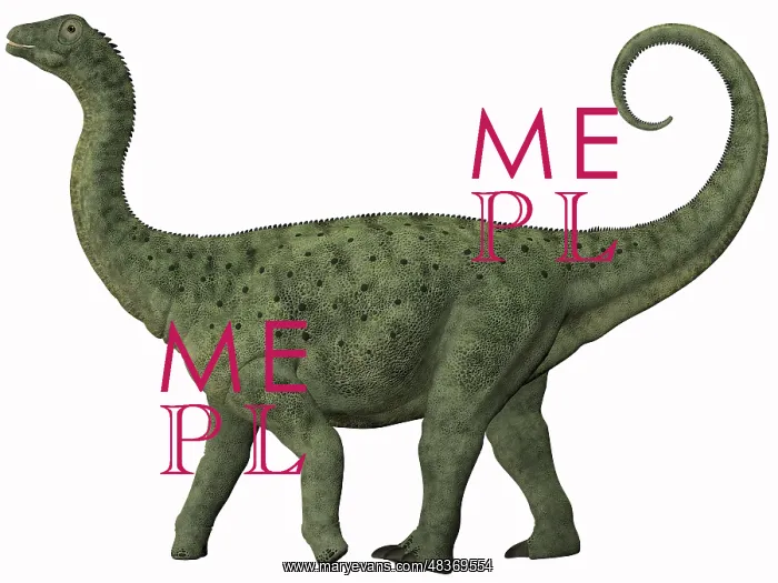 : A juvenile Saltasaurus sauropod dinosaur of the Cretaceous ? : A juvenile Saltasaurus sauropod dinosaur of the Cretaceous ?