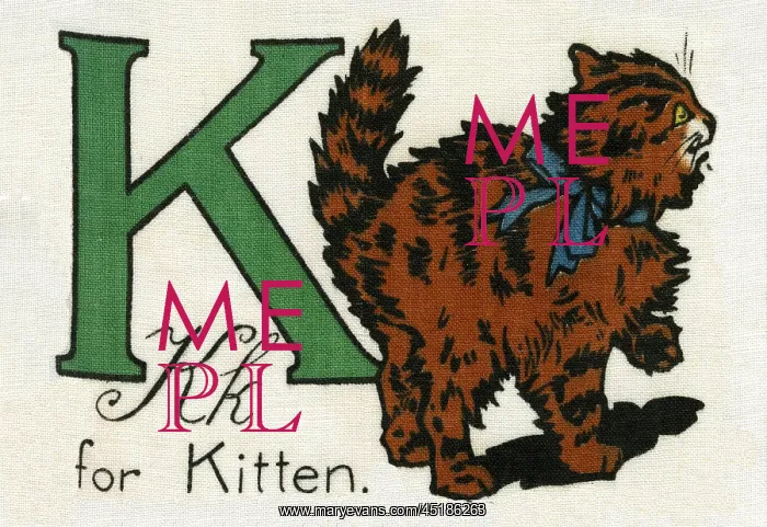 : K for Kitten