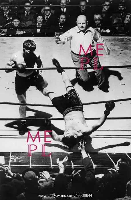 : K. o. in the boxin ring : K. o. in the boxin ring