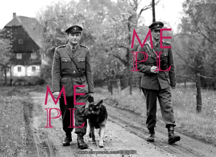 : K9 unit - police - border patrol : K9 unit - police - border patrol