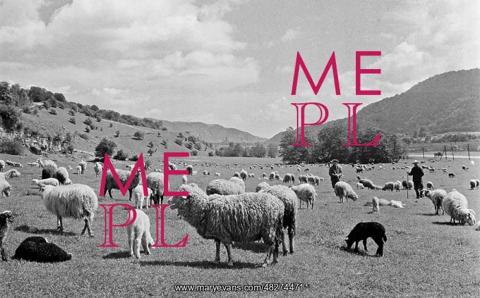  : Kabardino-Balkarian pastures, 1970