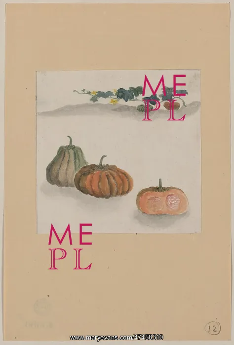 : Kabocha squash with plant growing in the background : Kabocha squash with plant growing in the background