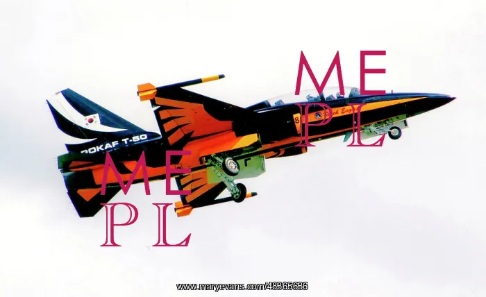: KAI T-50B Golden Eagle 10-0059 - 8 - Black Eagles : KAI T-50B Golden Eagle 10-0059 - 8 - Black Eagles