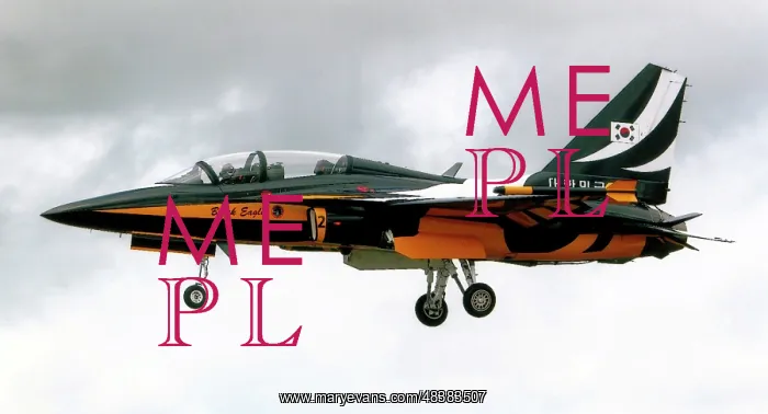 : KAI T-50B Golden Eagle - Black Eagle 2 : KAI T-50B Golden Eagle - Black Eagle 2