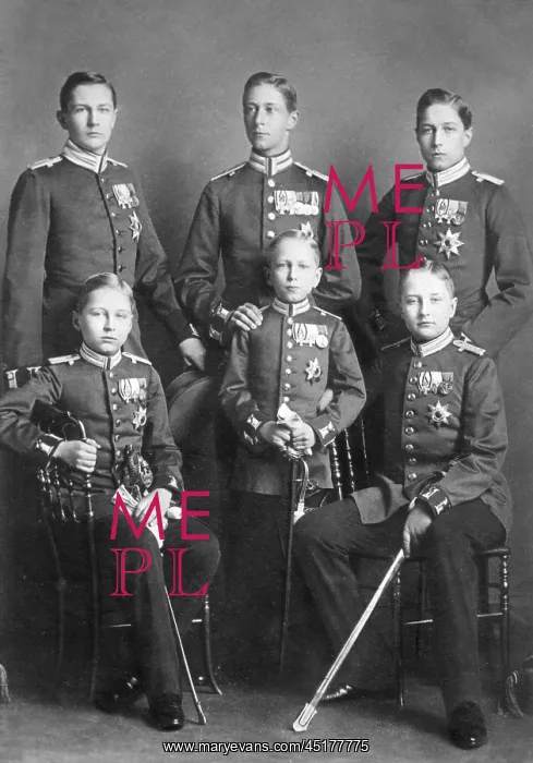 : Kaiser Wilhelm II's sons : Kaiser Wilhelm II's sons