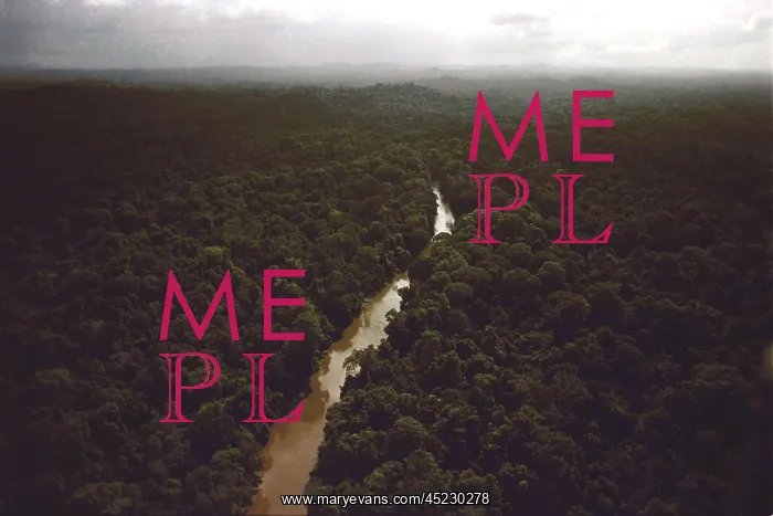 : Kaituma River flowing through the rain forest ? : Kaituma River flowing through the rain forest ?