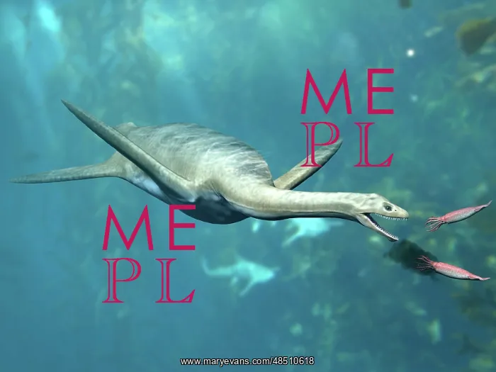 : Kaiwhekea plesiosaur feeding on a pair of squid-like ? : Kaiwhekea plesiosaur feeding on a pair of squid-like ?