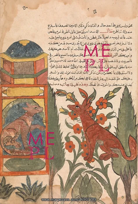 : Kalila Visits the Imprisoned Dimna, Folio from : Kalila Visits the Imprisoned Dimna, Folio from