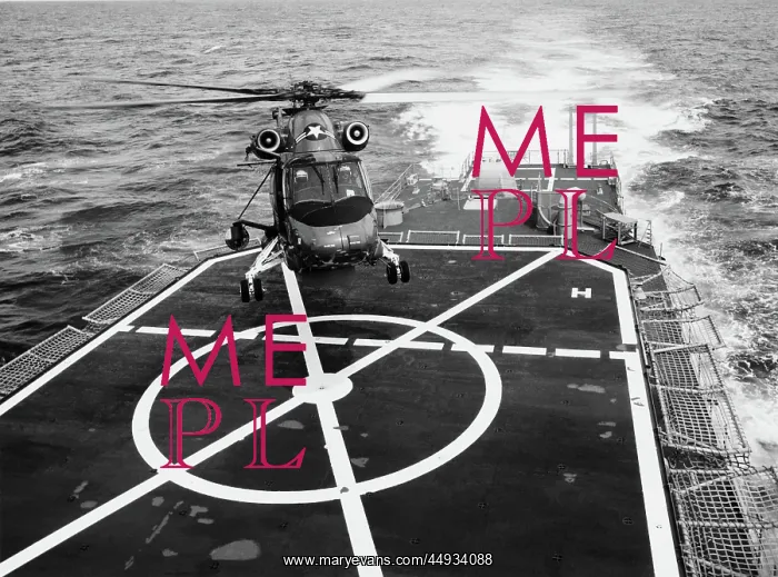  : Kaman K-20 H-2 Seasprite