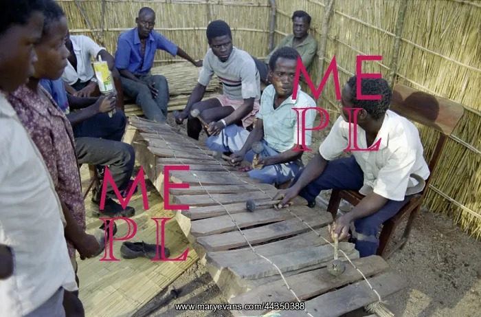 : Kambazithe with Valimba xylophone, Malawi, Man anja : Kambazithe with Valimba xylophone, Malawi, Man anja