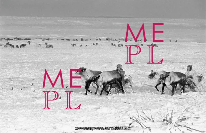 : Kamchatka reindeer breeders : Kamchatka reindeer breeders