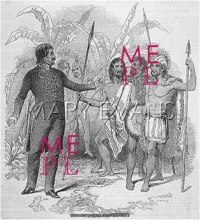 : KAMEHAMEHA IV IN COUNCIL : KAMEHAMEHA IV IN COUNCIL
