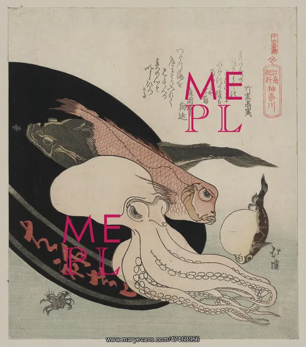 : Kanagawa. Print shows several kinds of fish including an octopus in a tray : Kanagawa. Print shows several kinds of fish including an octopus in a tray