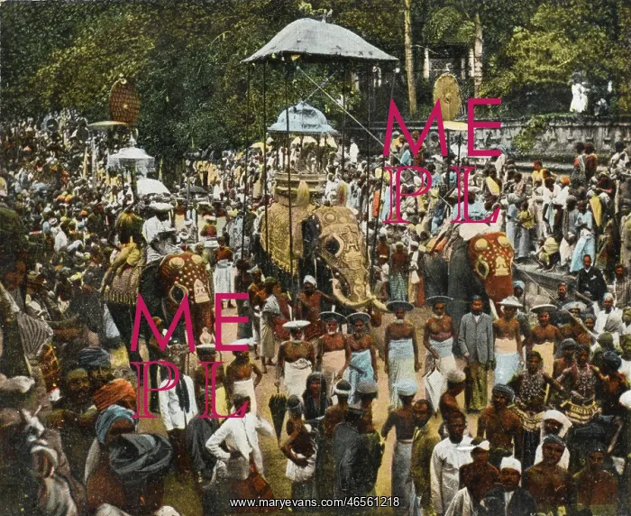 : Kandy - Sri Lanka - Buddhist Procession : Kandy - Sri Lanka - Buddhist Procession