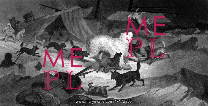 : KANE / ARCTIC EXPEDITION : KANE / ARCTIC EXPEDITION