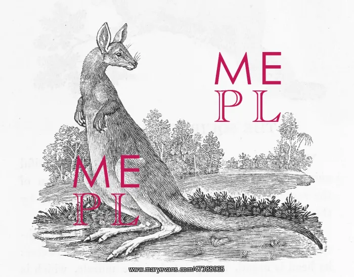 : KANGAROO (BEWICK) : KANGAROO (BEWICK)