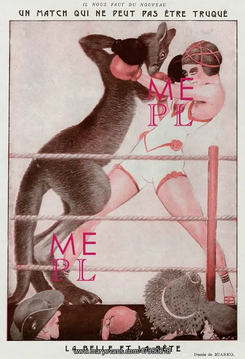  : KANGAROO BOXING