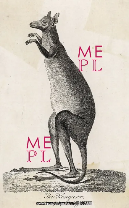  : KANGAROO / COOK 1790