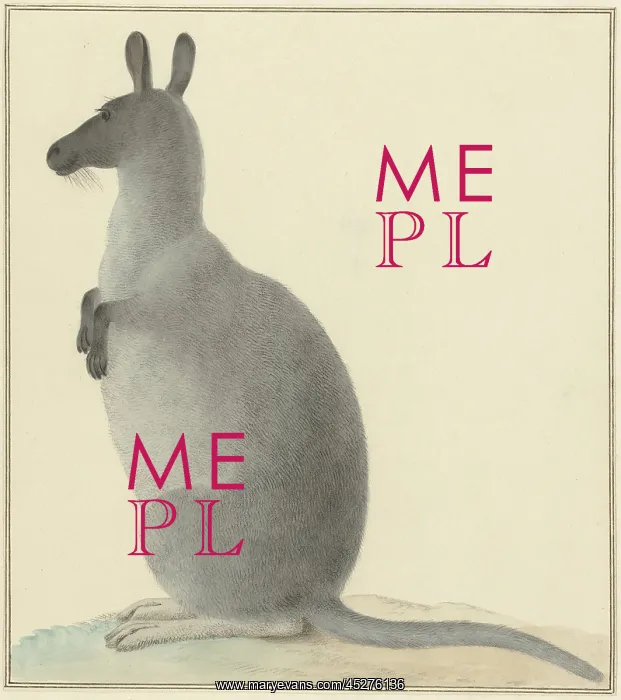 : Kangaroo, by Isaac van Haastert : Kangaroo, by Isaac van Haastert