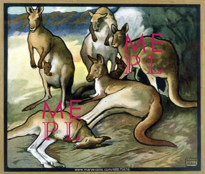  : KANGAROOS  /  NOBLE 1914