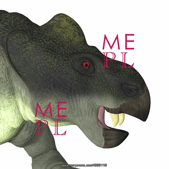 : Kannemeyeria dinosaur head : Kannemeyeria dinosaur head