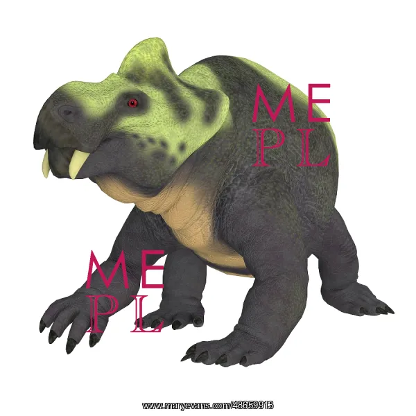 Kannemeyeria, a Triassic Herbivorous Dinosaur with Tusks from Mary