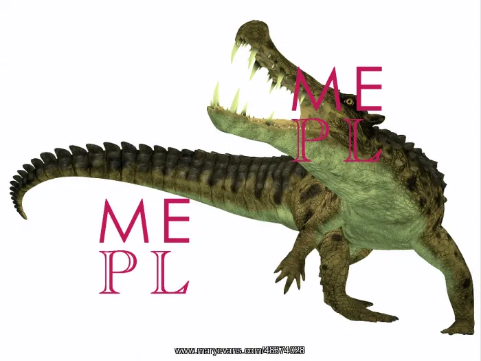 : Kaprosuchus is an extinct genus of crocodile : Kaprosuchus is an extinct genus of crocodile
