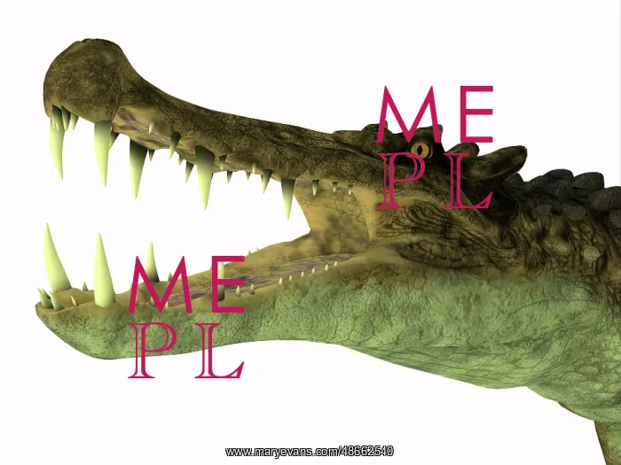 : Kaprosuchus reptile head : Kaprosuchus reptile head