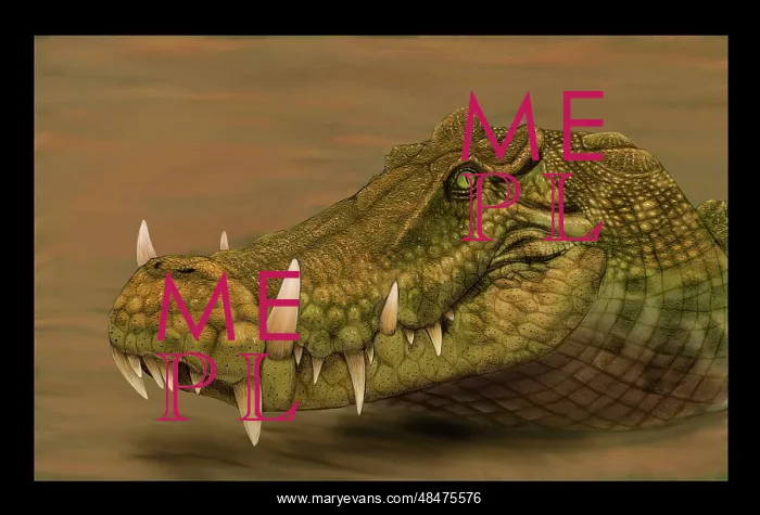 : Kaprosuchus saharicus head detail : Kaprosuchus saharicus head detail