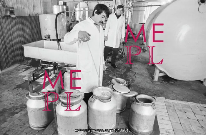 : Karamsky dairy : Karamsky dairy
