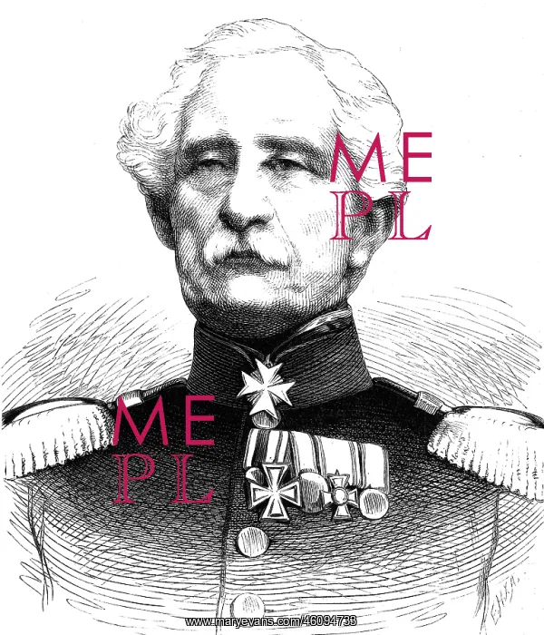 : Karl Friedrich von Steinmetz : Karl Friedrich von Steinmetz