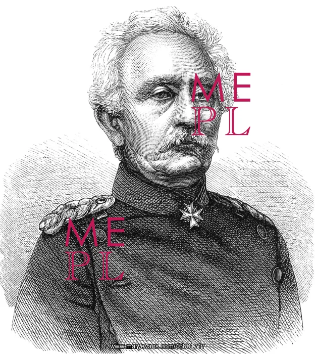 : Karl Friedrich von Steinmetz : Karl Friedrich von Steinmetz