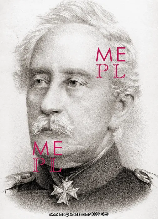 : Karl Friedrich von Steinmetz : Karl Friedrich von Steinmetz