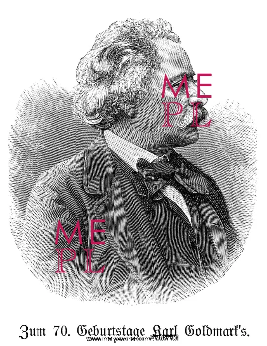 : KARL GOLDMARK : KARL GOLDMARK